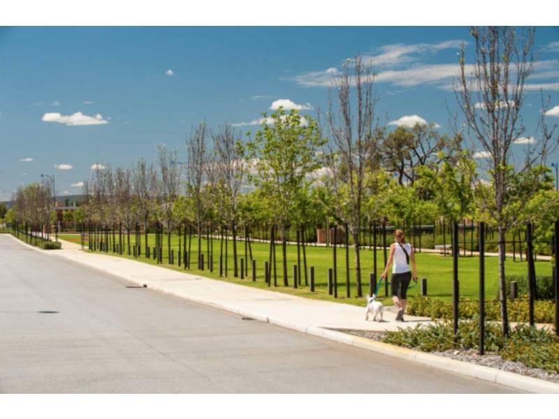 Lot 734, /35 Fanshawe Boulevard, Piara Waters WA 6112