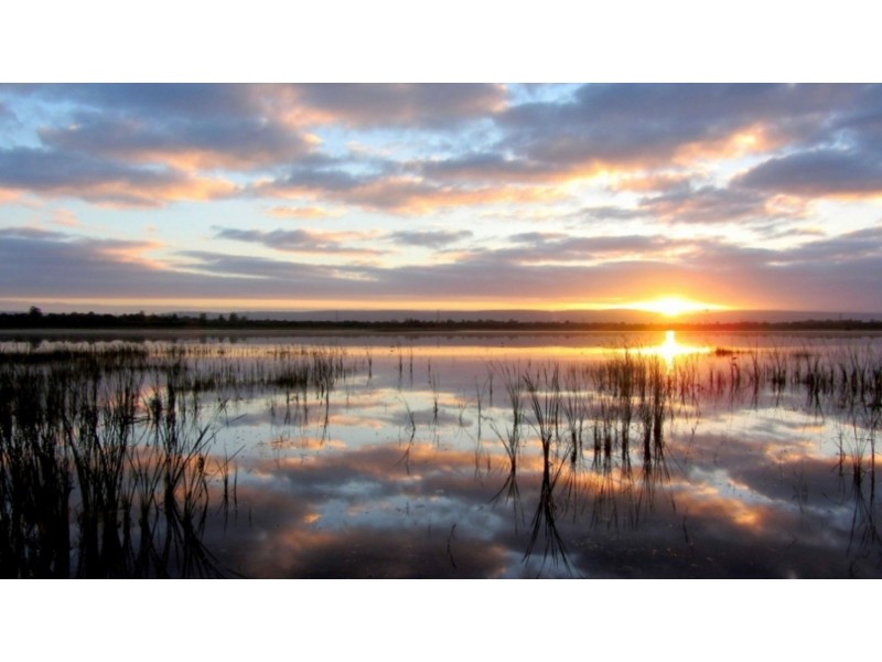 Lot 201 Rowley Road, Hilbert WA 6112