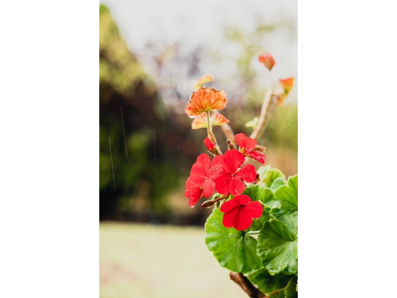 28 Ohrid Place, Joondalup WA 6027