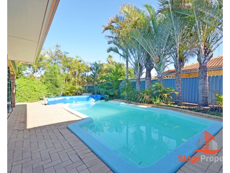 16 Cotton Crescent, Bull Creek WA 6149