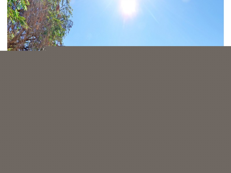 14 Glenten Way, Ferndale WA 6148