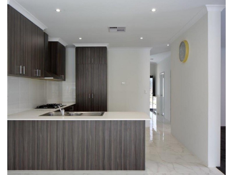 29 Hollyford Parade, Butler WA 6036