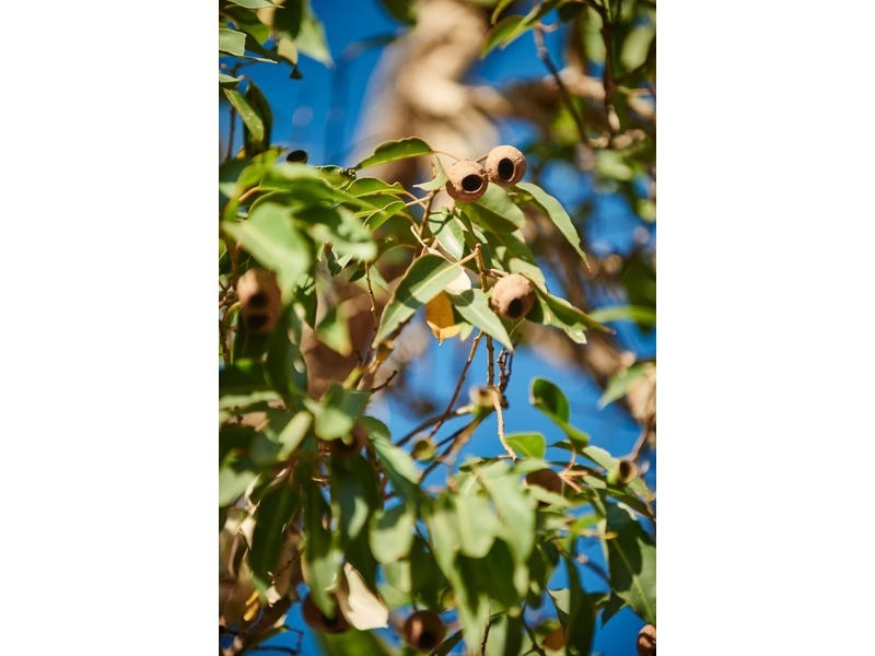 Lot 104 Amalfi Drive, Bullsbrook WA 6084