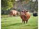 Lot 84 Amalfi Drive, Bullsbrook WA 6084