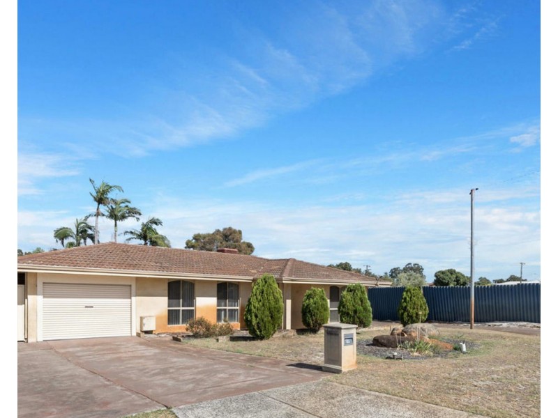 62 Endeavour Avenue, Bull Creek WA 6149