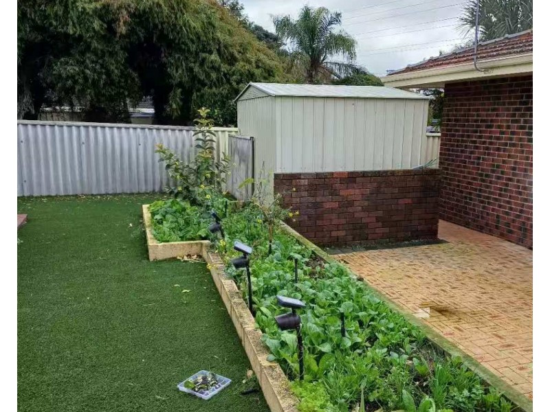 147 Winterfold Road, Coolbellup WA 6163
