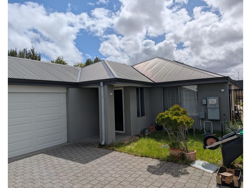 7 Rhizome Way, Banksia Grove WA 6031