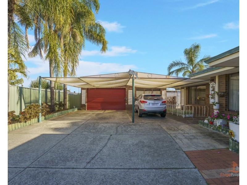 81 Anaconda Drive, Gosnells WA 6110
