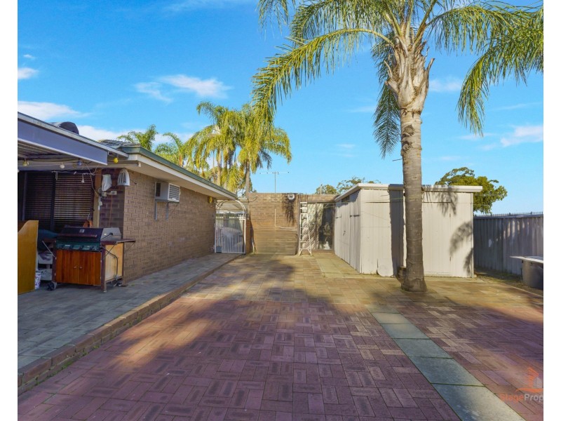 81 Anaconda Drive, Gosnells WA 6110