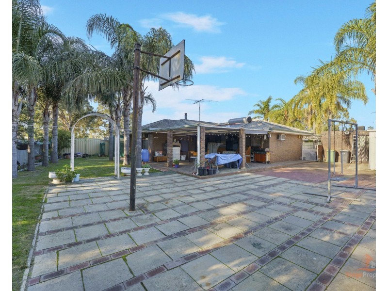 81 Anaconda Drive, Gosnells WA 6110