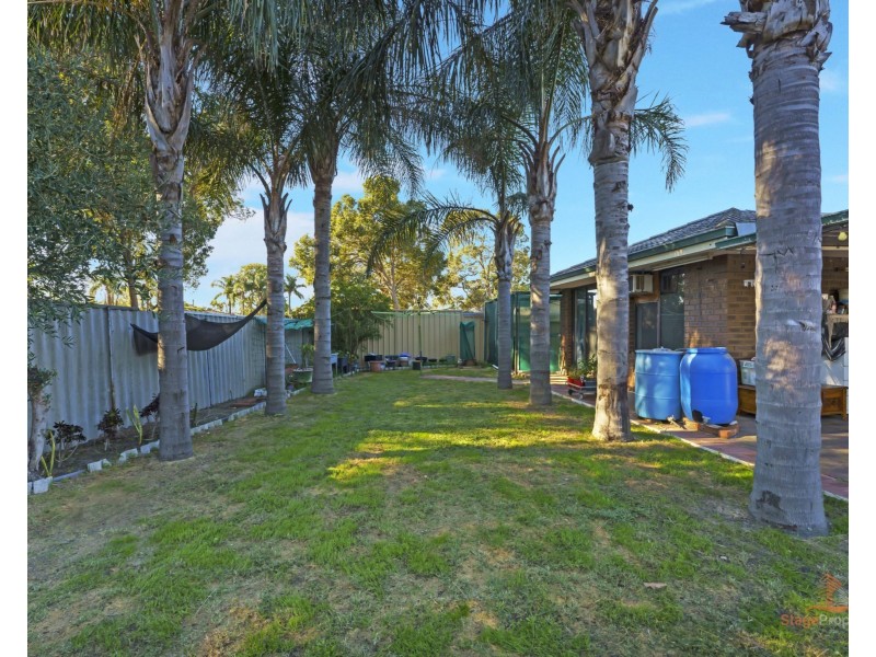 81 Anaconda Drive, Gosnells WA 6110