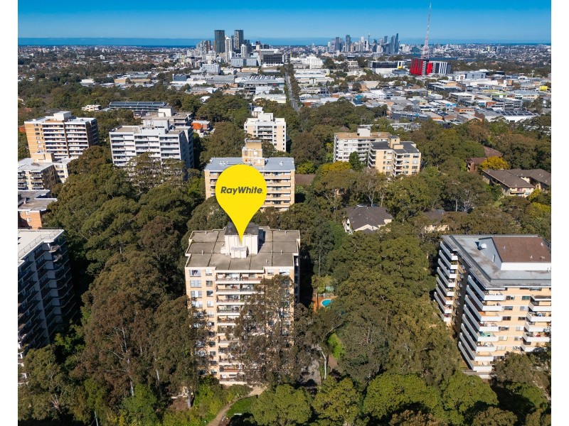 203/4 Francis Road, Artarmon NSW 2064