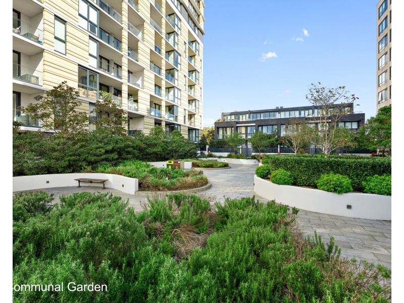 1303/23 Halifax Street, Macquarie Park NSW 2113