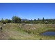 253 Bulwer Street, Tenterfield NSW 2372