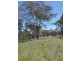 1440 Leyburn Forestry Road, Warwick QLD 4370