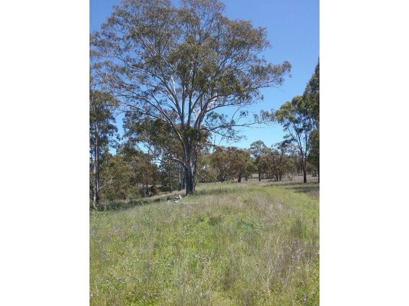 1440 Leyburn Forestry Road, Warwick QLD 4370