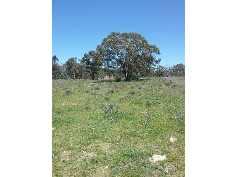 1440 Leyburn Forestry Road, Warwick QLD 4370