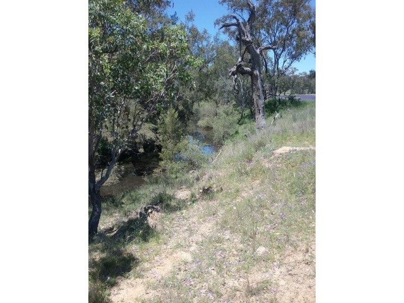 1440 Leyburn Forestry Road, Warwick QLD 4370