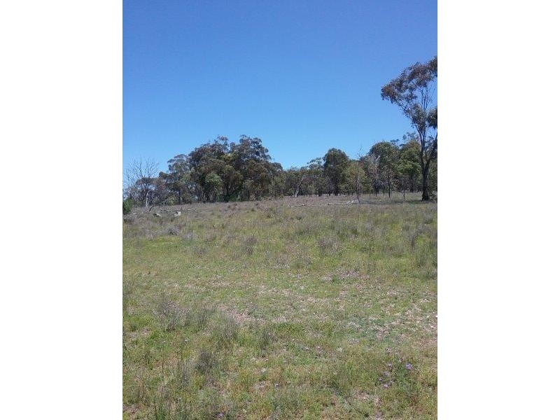 1440 Leyburn Forestry Road, Warwick QLD 4370