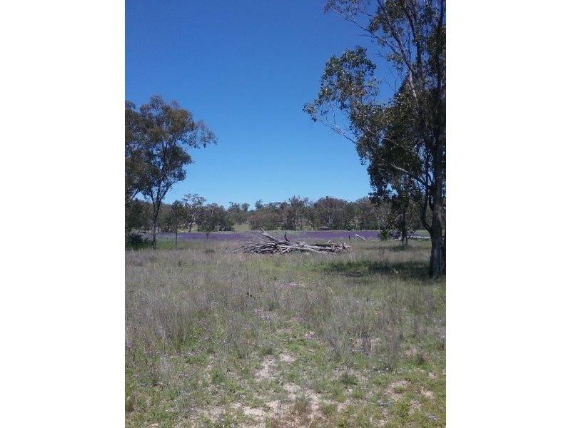 1440 Leyburn Forestry Road, Warwick QLD 4370