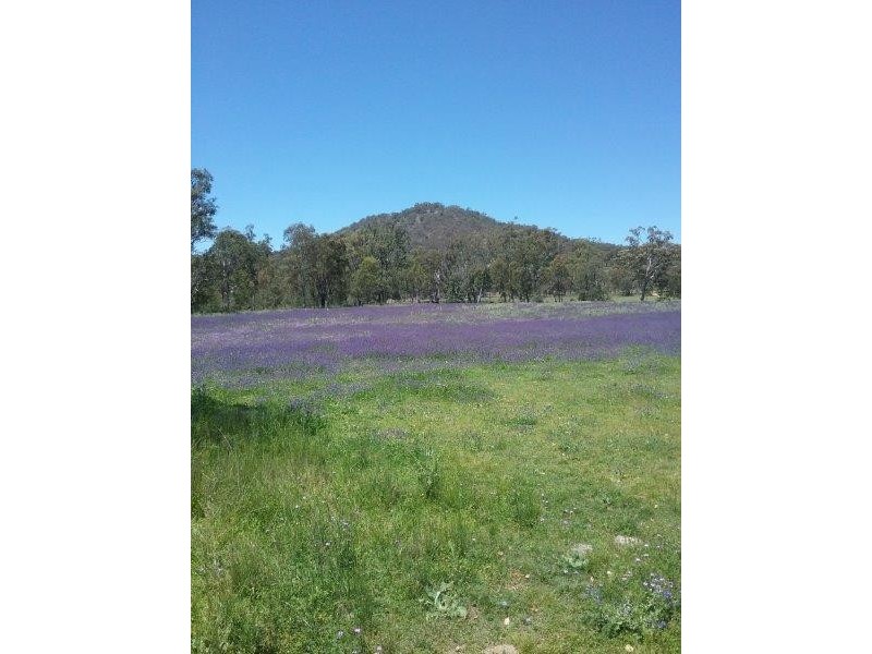 1440 Leyburn Forestry Road, Warwick QLD 4370