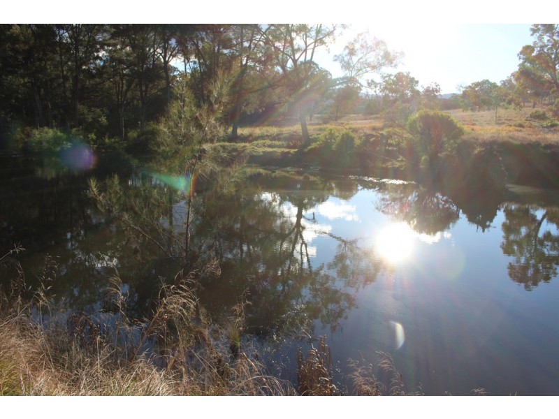 1634 Bruxner Way, Tenterfield NSW 2372