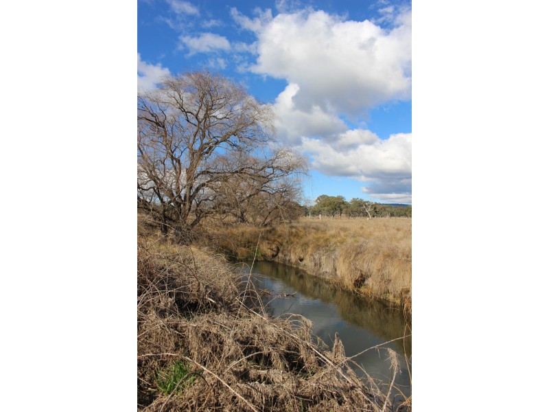 1634 Bruxner Way, Tenterfield NSW 2372