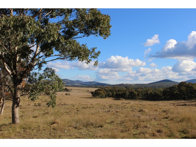1634 Bruxner Way, Tenterfield NSW 2372