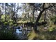 1634 Bruxner Way, Tenterfield NSW 2372