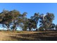 1634 Bruxner Way, Tenterfield NSW 2372