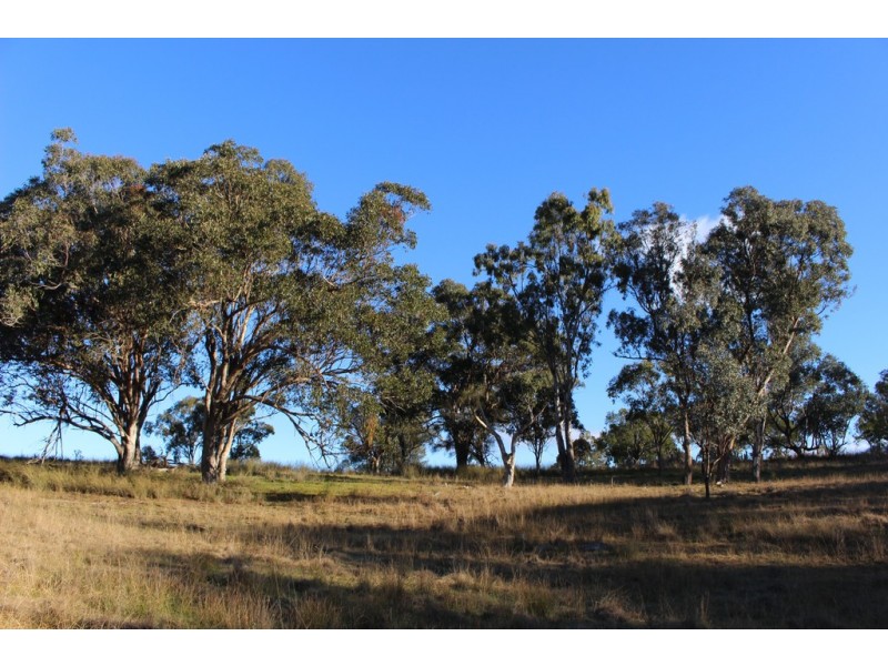 1634 Bruxner Way, Tenterfield NSW 2372
