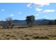 1634 Bruxner Way, Tenterfield NSW 2372