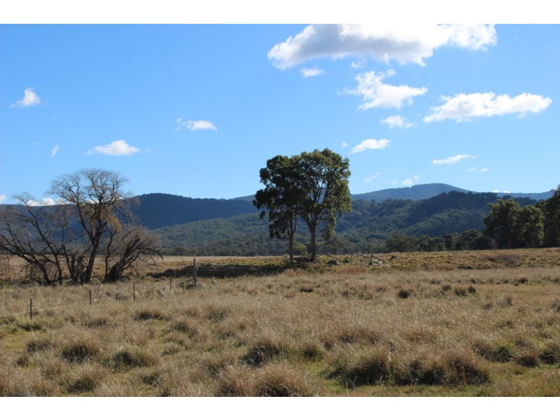 1634 Bruxner Way, Tenterfield NSW 2372