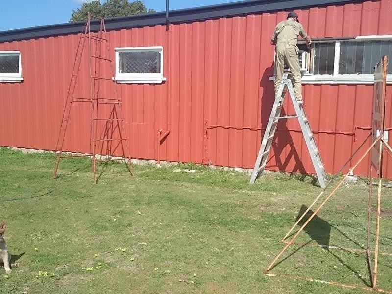 16 Taloom Street, Yelarbon QLD 4388