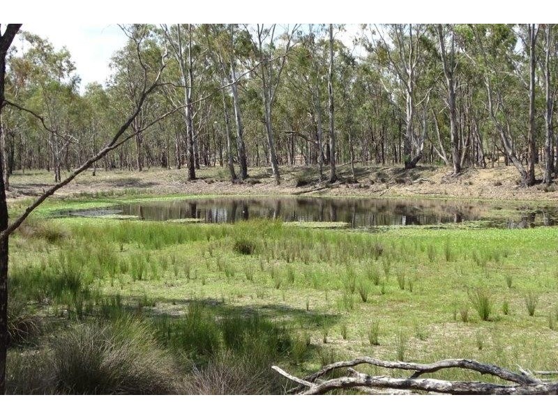 297 Reedy Creek Road, Thanes Creek QLD 4370