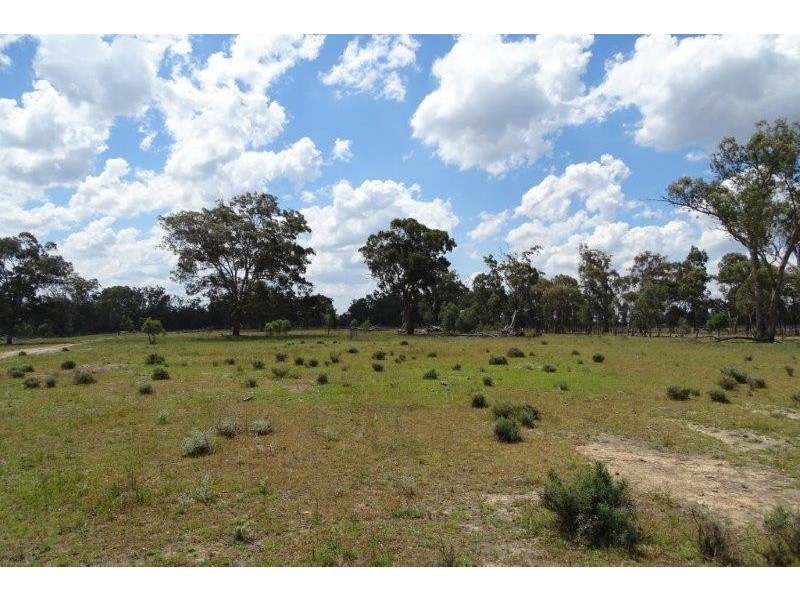 297 Reedy Creek Road, Thanes Creek QLD 4370