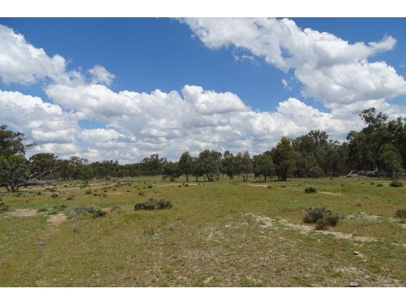 297 Reedy Creek Road, Thanes Creek QLD 4370