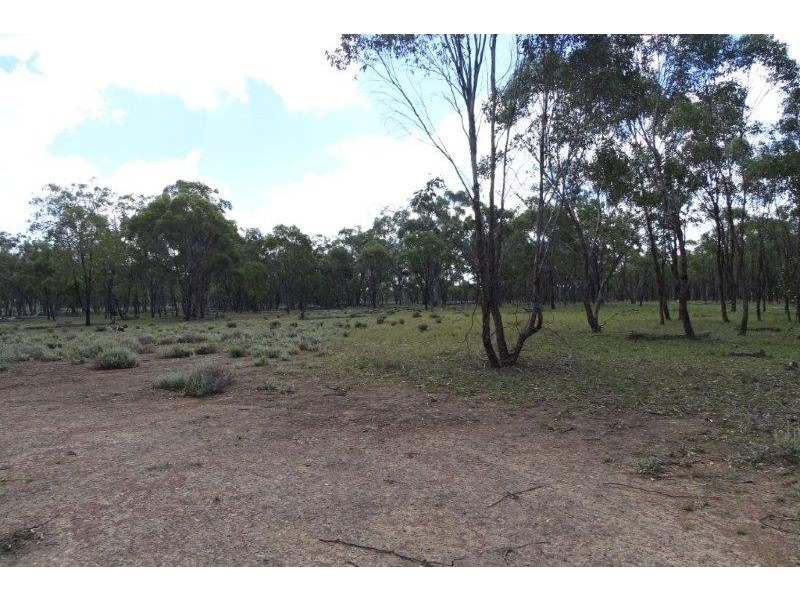 297 Reedy Creek Road, Thanes Creek QLD 4370