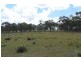 297 Reedy Creek Road, Thanes Creek QLD 4370