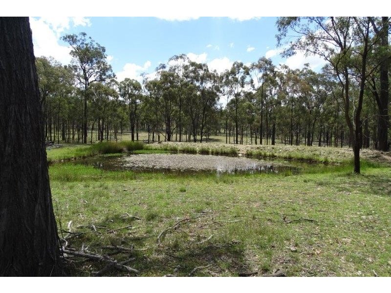 297 Reedy Creek Road, Thanes Creek QLD 4370