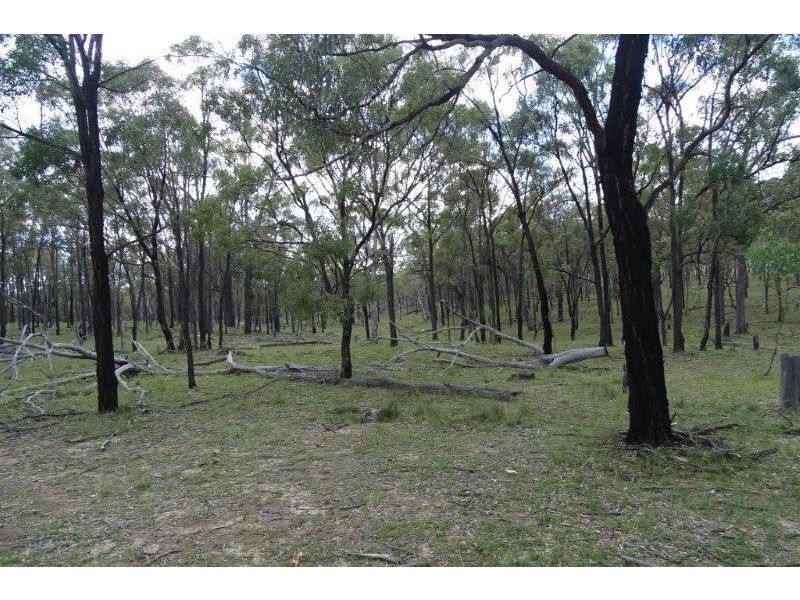 297 Reedy Creek Road, Thanes Creek QLD 4370