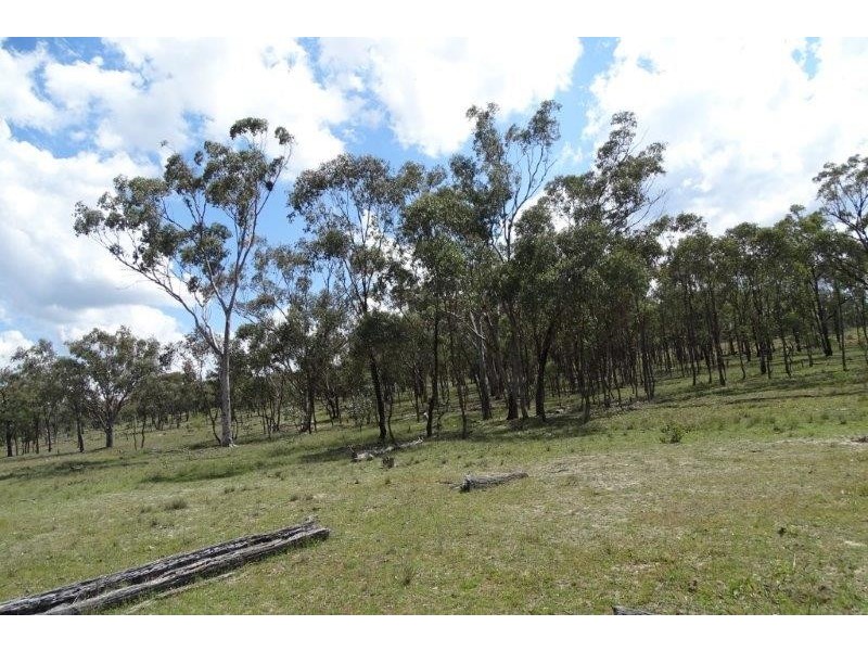 297 Reedy Creek Road, Thanes Creek QLD 4370