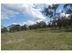 297 Reedy Creek Road, Thanes Creek QLD 4370