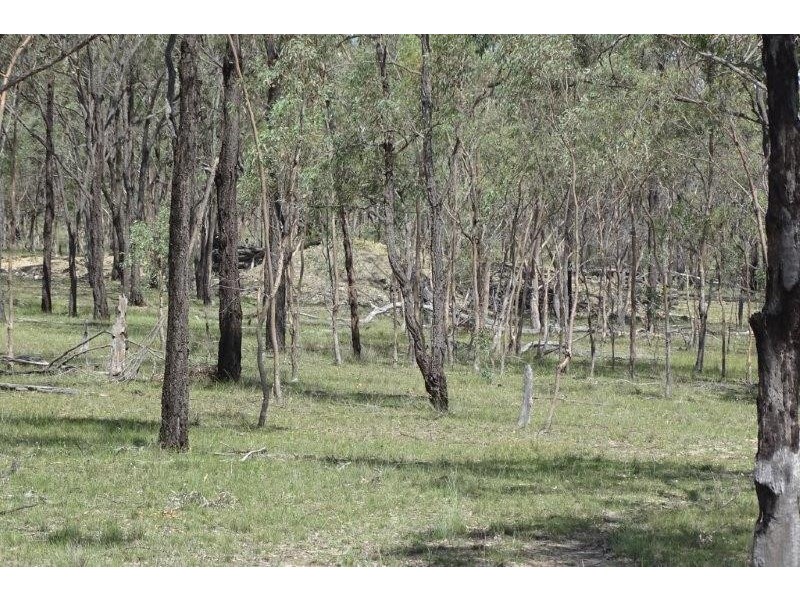 297 Reedy Creek Road, Thanes Creek QLD 4370