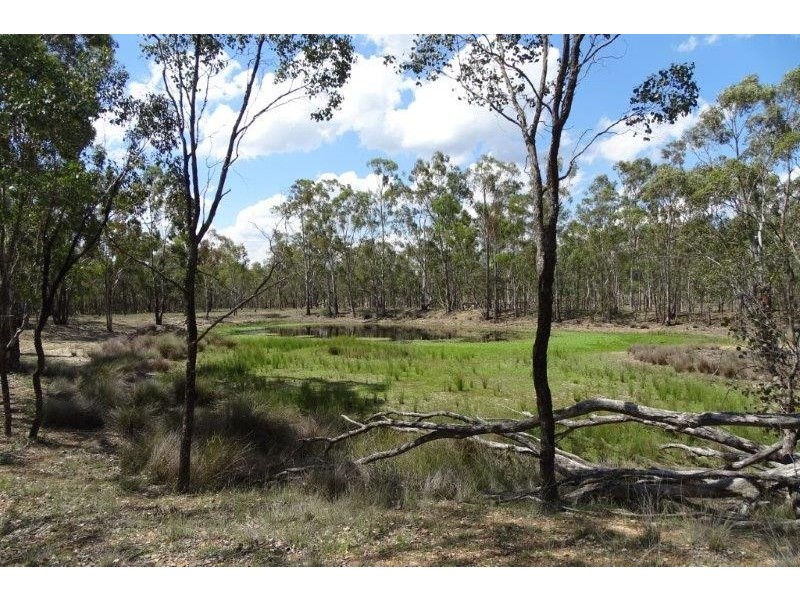 297 Reedy Creek Road, Thanes Creek QLD 4370