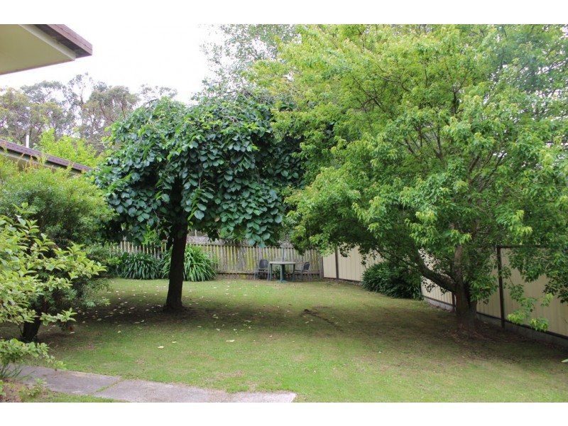 Lot 5141 Holleys Road, Tenterfield NSW 2372