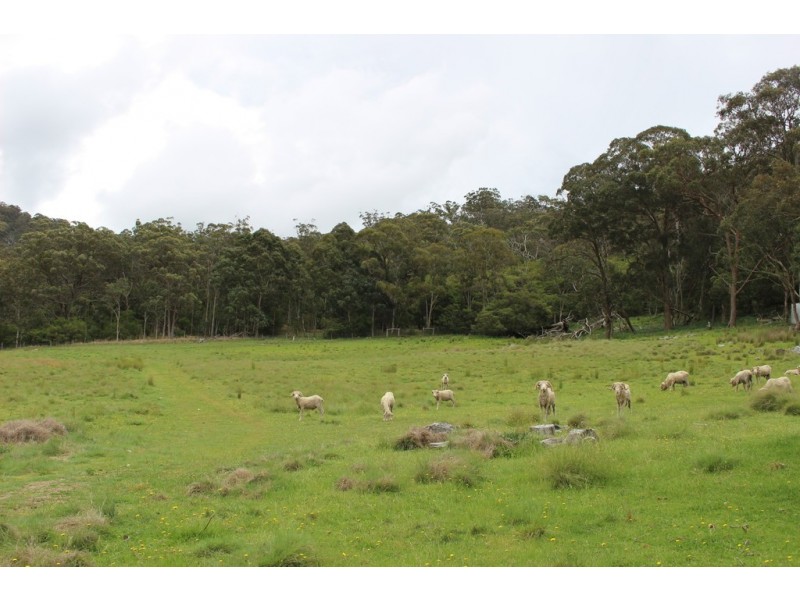 Lot 5141 Holleys Road, Tenterfield NSW 2372