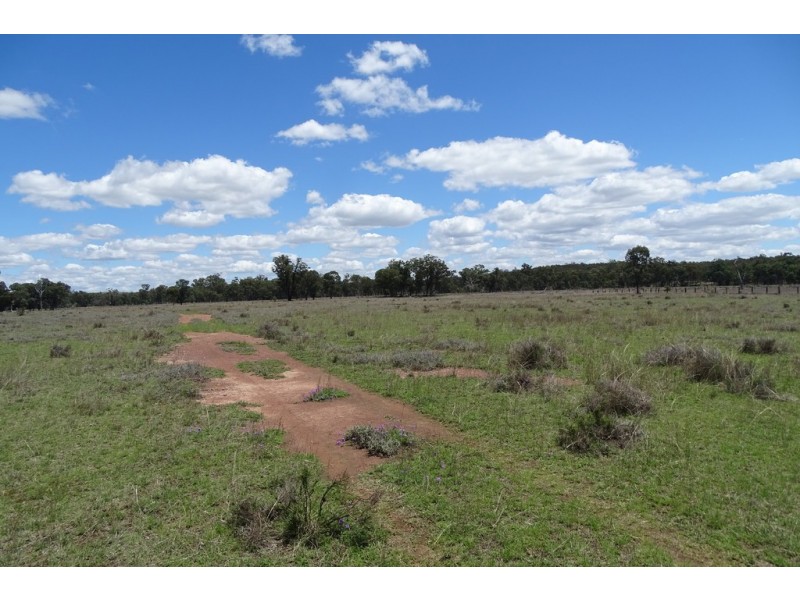 Lot 1 Cnr Thanes Creek and Wickham Roads, Thanes Creek QLD 4370