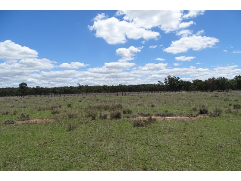 Lot 1 Cnr Thanes Creek and Wickham Roads, Thanes Creek QLD 4370