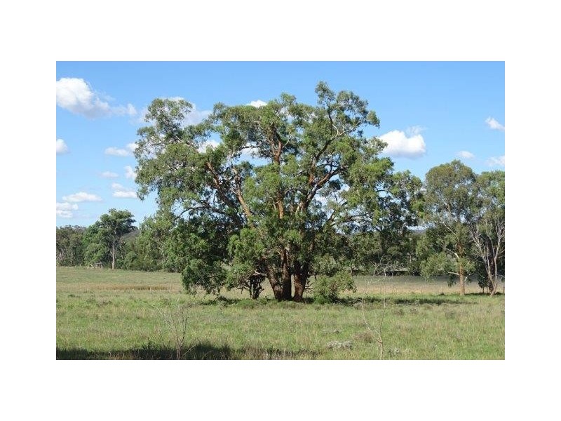 870 Thanes Creek Road, Warwick QLD 4370